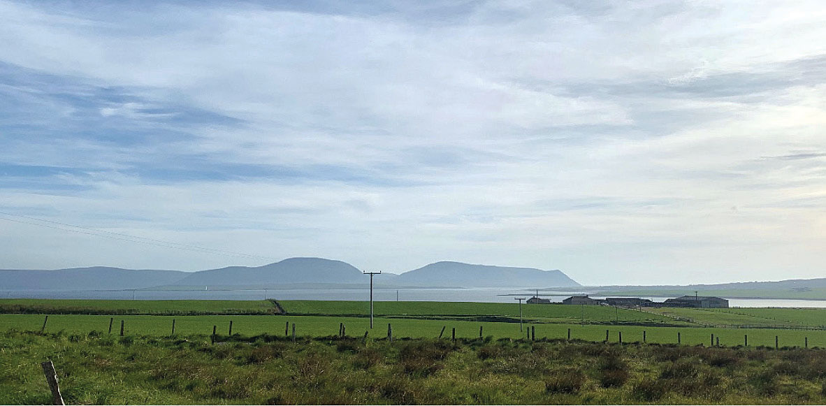 Featured Property of the Week