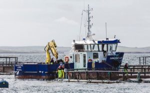 Chance to name new salmon workboat