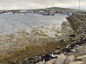 Kirkwall Marina area set to be cleaned
