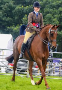 Ready, Set, Show! horses – Lisronagh dominates public vote