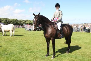 Ready, Set, Show! – Here come the horses!