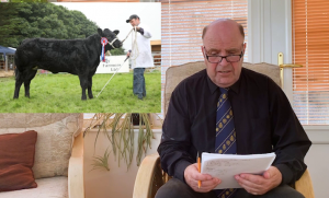 Ready, Set, Show! – judge’s winners announced!