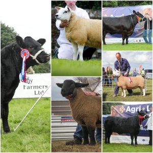 Ready, Set, Show! – cast your vote!