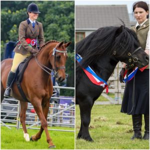 Ready, Set, Show! horses – the final match-up!