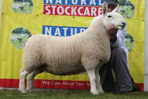 Day three’s match-up – Newbigging Cheviot champs to go head-to-head