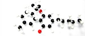 10th annual Science Festival molecule hunt launched