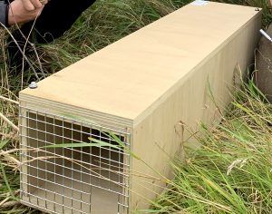 Police investigate stoat trap damage