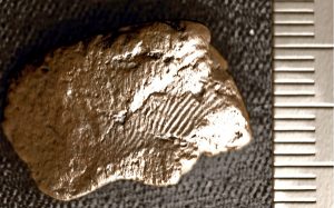 Archaeologists discover 5,000-year-old fingerprint
