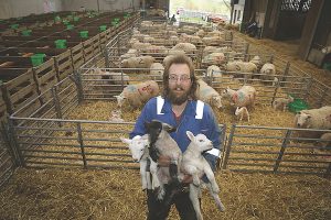 New lambs spring up across county