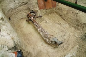 Work begins to uncover Viking burial site secrets