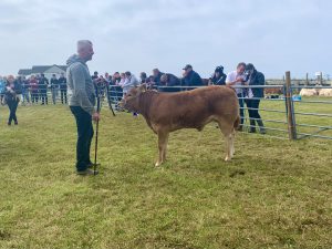 Sanday Show success for Seaview