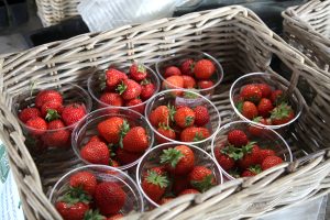 Community garden project harvests success in Westray