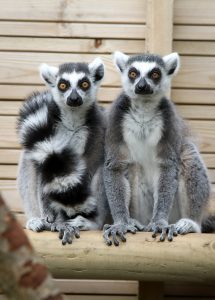 Initiative to support tourism during quieter months launches