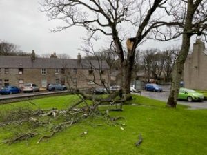 ‘Stay home if you are able’, says OIC