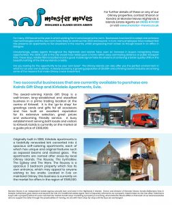 Two successful businesses that are currently available to purchase