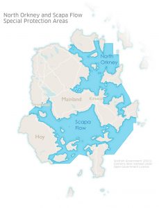 New marine designations for Orkney waters