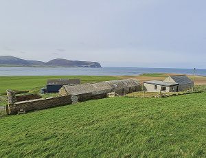 Featured Property of the Week