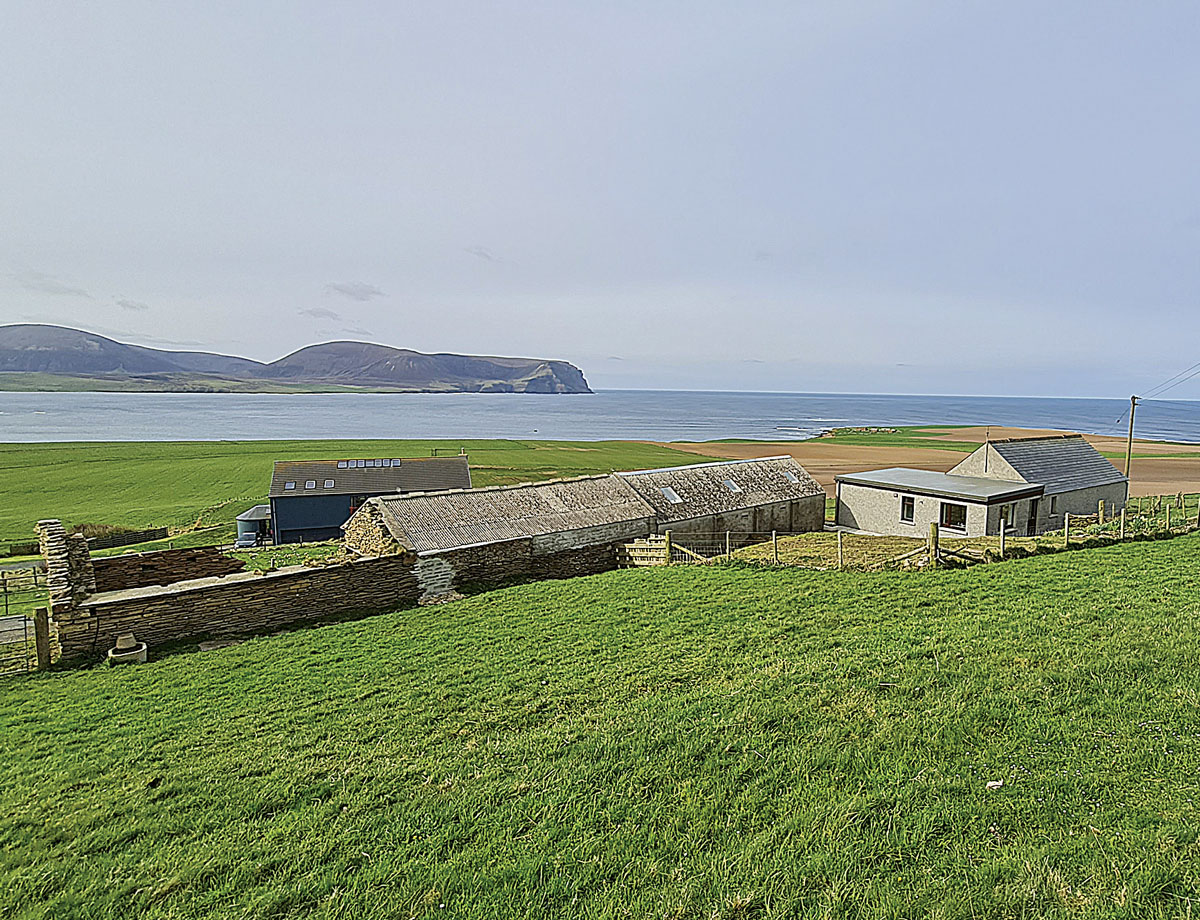 Featured Property of the Week