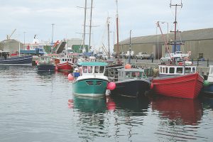 Orkney fishing industry “spooked” by proposed regulations