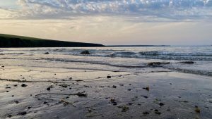 Harbour authority warns of dangers of sea swimming