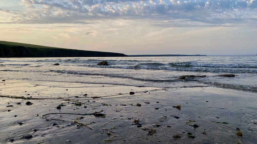 Harbour authority warns of dangers of sea swimming