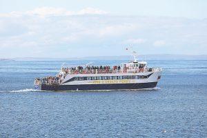 Ferry business for sale
