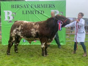 A cracking return for County Show