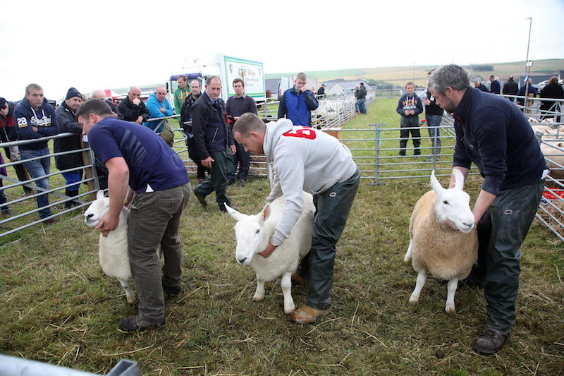 It’s ‘Hope Show Day!