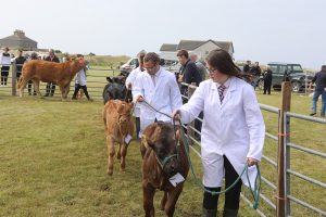 Agricultural shows season kicks off in Sanday