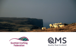 Health Planning for Crofters