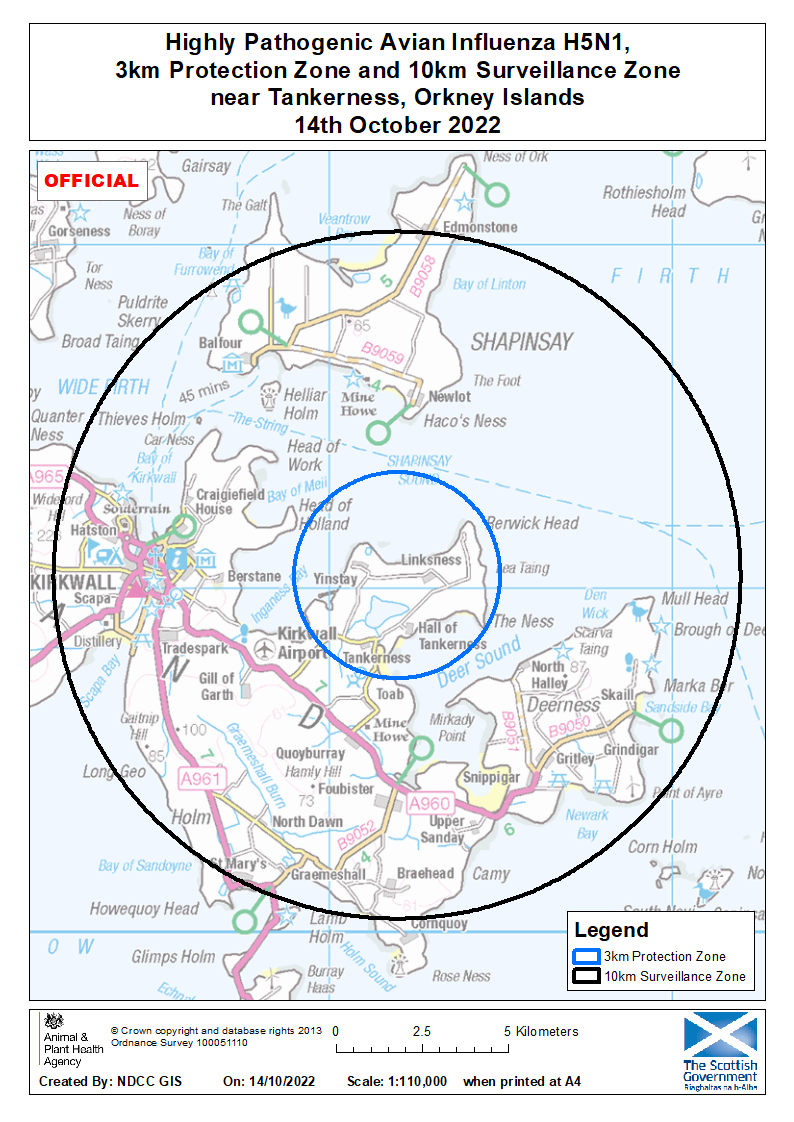 Bird flu protection zone lifted