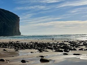 Rackwick septic tank fix ‘essential’ says OIC leader