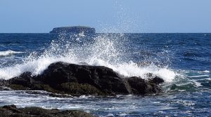 East of Orkney windfarm developers reveal plans