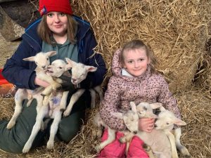 Westray welcomes a farmer’s dozen