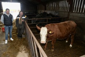 Heifer donation boosts prostate charity cause