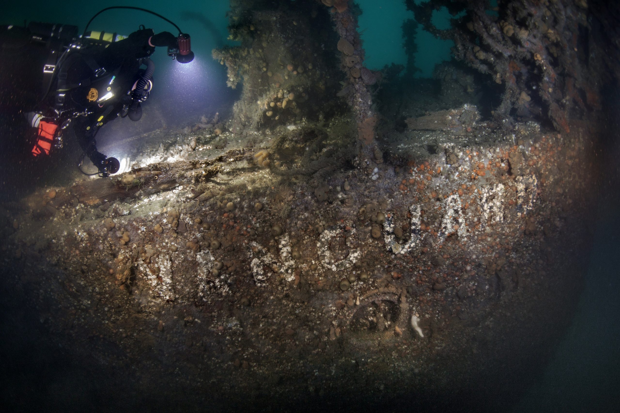 Museum unveils new images of WW1 naval wrecks