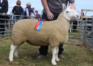 It’s East Mainland Show Day!