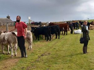 It’s Sanday Show Day!