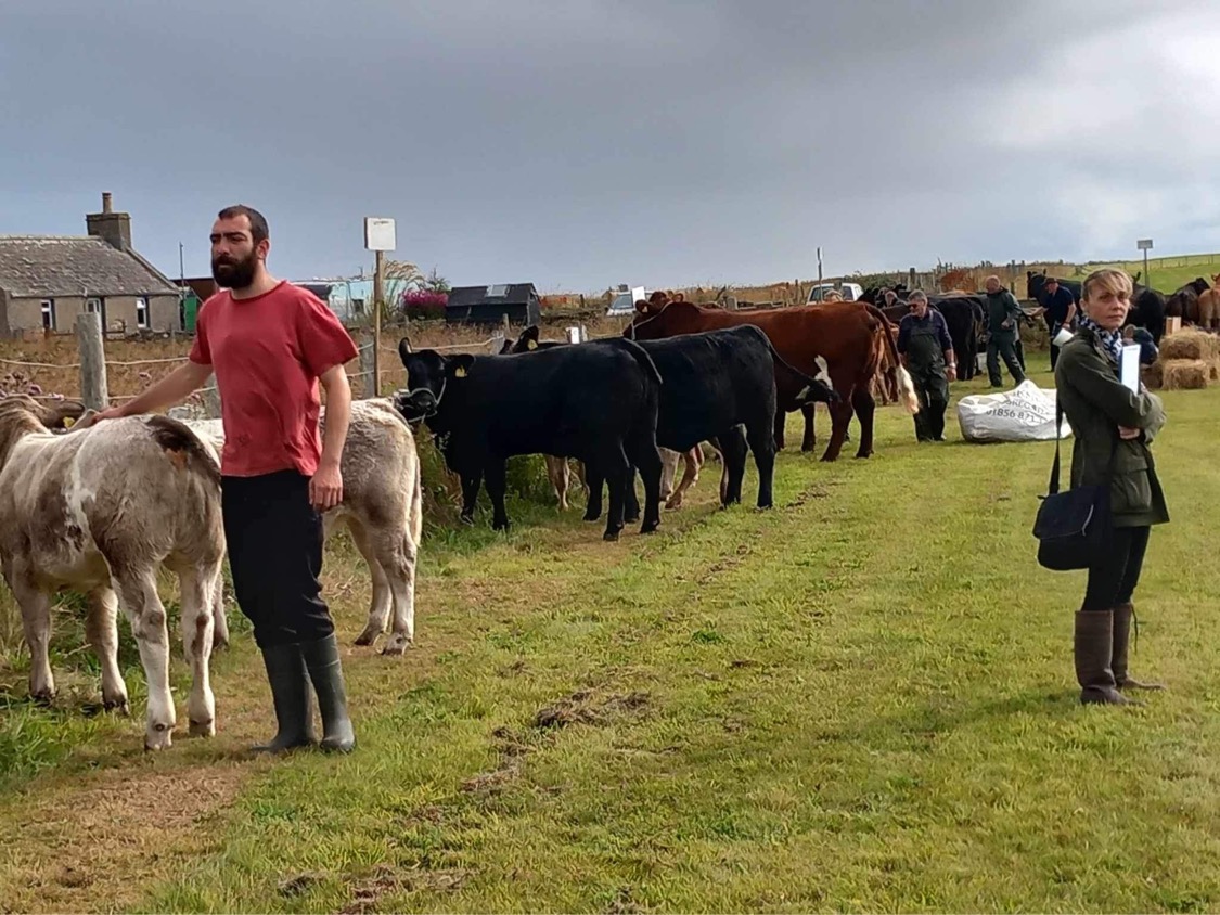 It’s Sanday Show Day!