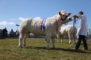 Scorcher of a day for the Dounby Show