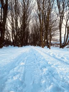 Parliament hears fuel poverty concerns as snow engulfs Orkney