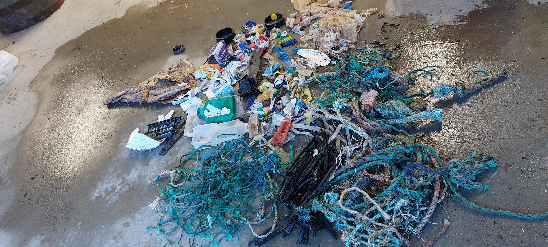 Almost 100kg of beach litter removed at Scapa — but more still to clear