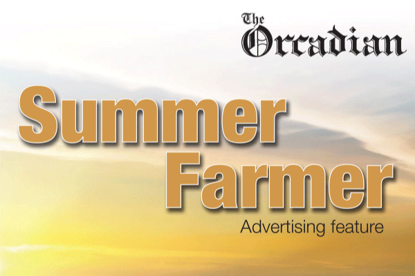 Summer Farmer Feature