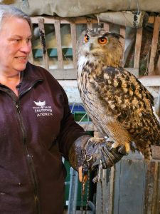 Missing eagle owl found after sleepless night for owners
