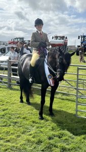 Plunkett Jenny named East Mainland Champion of the Yard