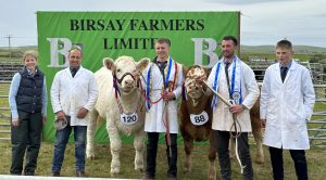 Double Dounby delight in the cattle lines for Spence family