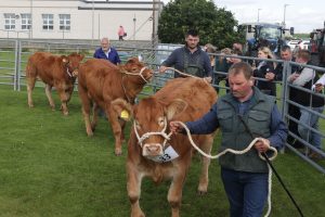 Show week heads to Shapinsay