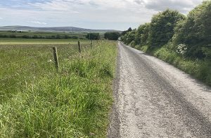 Bid to move to July verge-cutting tabled and set to be discussed