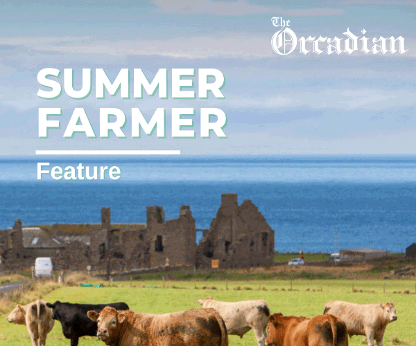 Summer Farmer Feature