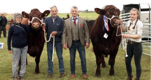 Show season kicks off in Sanday